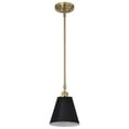 thumbnail image 1 of Nuvo Lighting Dover 1 Light Small Pendant Black with Vintage Brass, 1 of 6