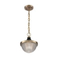 thumbnail image 1 of 60/7059-Nuvo Lighting-Faro-1 Light Small Pendant in Transitional Style-10 Inches Wide by 11.38 Inches High-Burnished Brass/Black Finish, 1 of 6