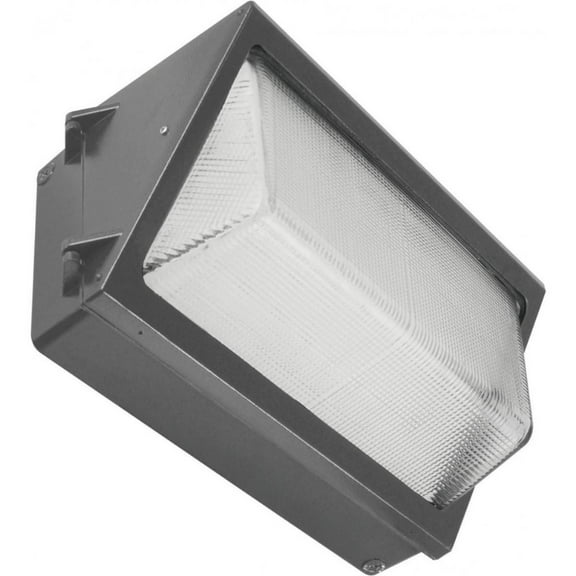Nuvo Lighting Fixture,Security Light,LED,20W,100-2 65/220