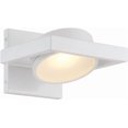 thumbnail image 1 of Nuvo Lighting Hawk LED Wall Sconce, 1 of 19