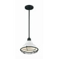 thumbnail image 1 of 60/7023-Nuvo Lighting-Newbridge-1 Light Small Pendant in Farmhouse Style-9.75 Inches Wide by 8.25 Inches High-Gloss White/Black Finish, 1 of 4