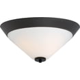 thumbnail image 1 of Nuvo Lighting Nuvo Nome 2 Light Flush Mount, 1 of 2