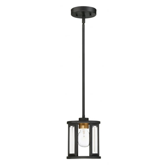 Nuvo Lighting - Payne-1 Light Mini Pendant in Traditional Style-6.5 Inches Wide