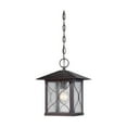 thumbnail image 1 of Nuvo Lighting Vega 1 Light Outdoor Hanging, 1 of 2