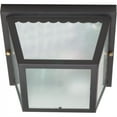 thumbnail image 1 of Nuvo 60-473 - 2 Light - 10" - Carport Flush Mount - With Textured Frosted Glass, 1 of 4