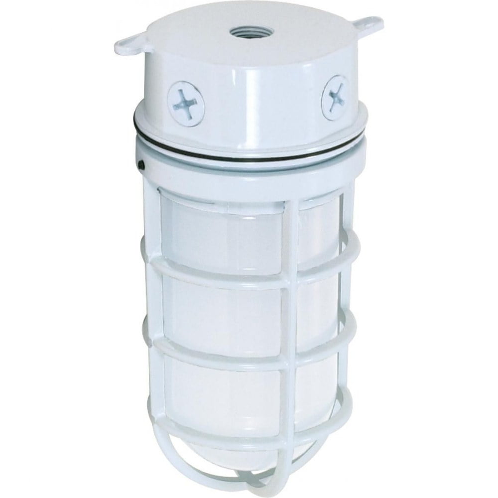 Bronze Cage Frame 9" Outdoor Flush Mount with Frosted Glass