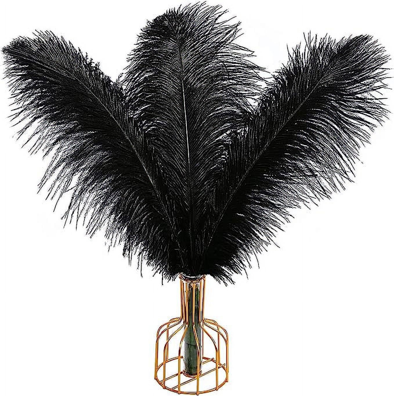 Nvzi 12pcs Black Ostrich Feathers Natural Bulk 16-18Inch 40cm-45cm for Wedding Party Centerpieces Easter Gatsby and Home Decorate Ostrich Feathers