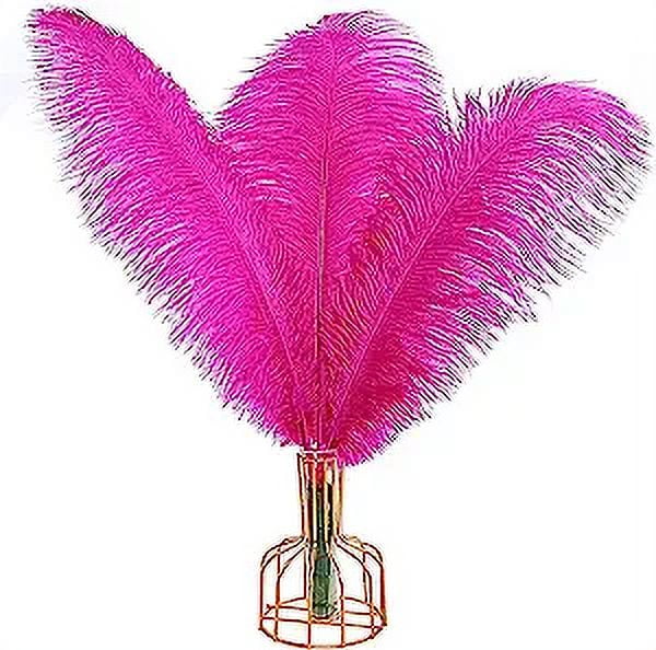 XmhyTop-A 12pcs Fuchsia Ostrich Feathers Natural Bulk 16-18Inch 40cm-45cm for Wedding Party Centerpieces Easter Gatsby and Home Decorate Ostrich Feathers