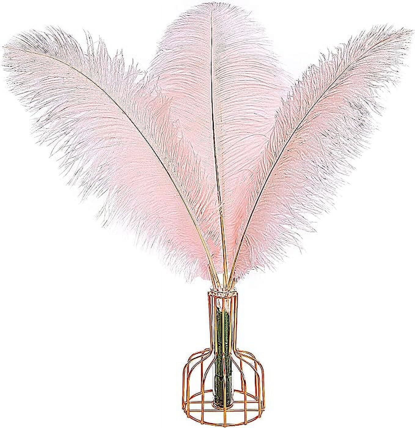 Nvzi 12pcs Pink Ostrich Feathers Natural Bulk 16-18Inch 40cm-45cm for Wedding Party Centerpieces Easter Gatsby and Home Decorate Ostrich Feathers