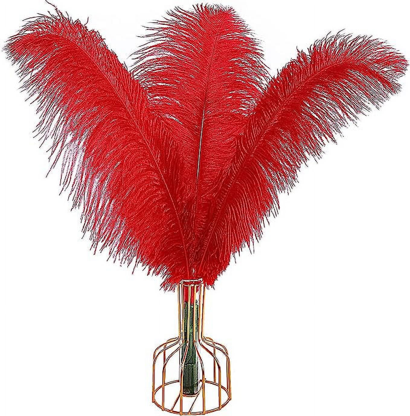 Nvzi 12pcs Red Ostrich Feathers Natural Bulk 16-18Inch 40cm-45cm for Wedding Party Centerpieces Easter Gatsby and Home Decorate Ostrich Feathers