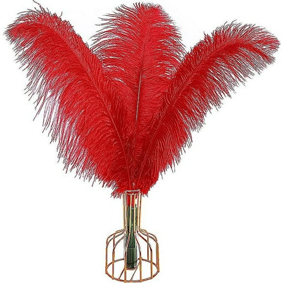 Nvzi 12pcs Red Ostrich Feathers Natural Bulk 16-18Inch 40cm-45cm for Wedding Party Centerpieces Easter Gatsby and Home Decorate Ostrich Feathers