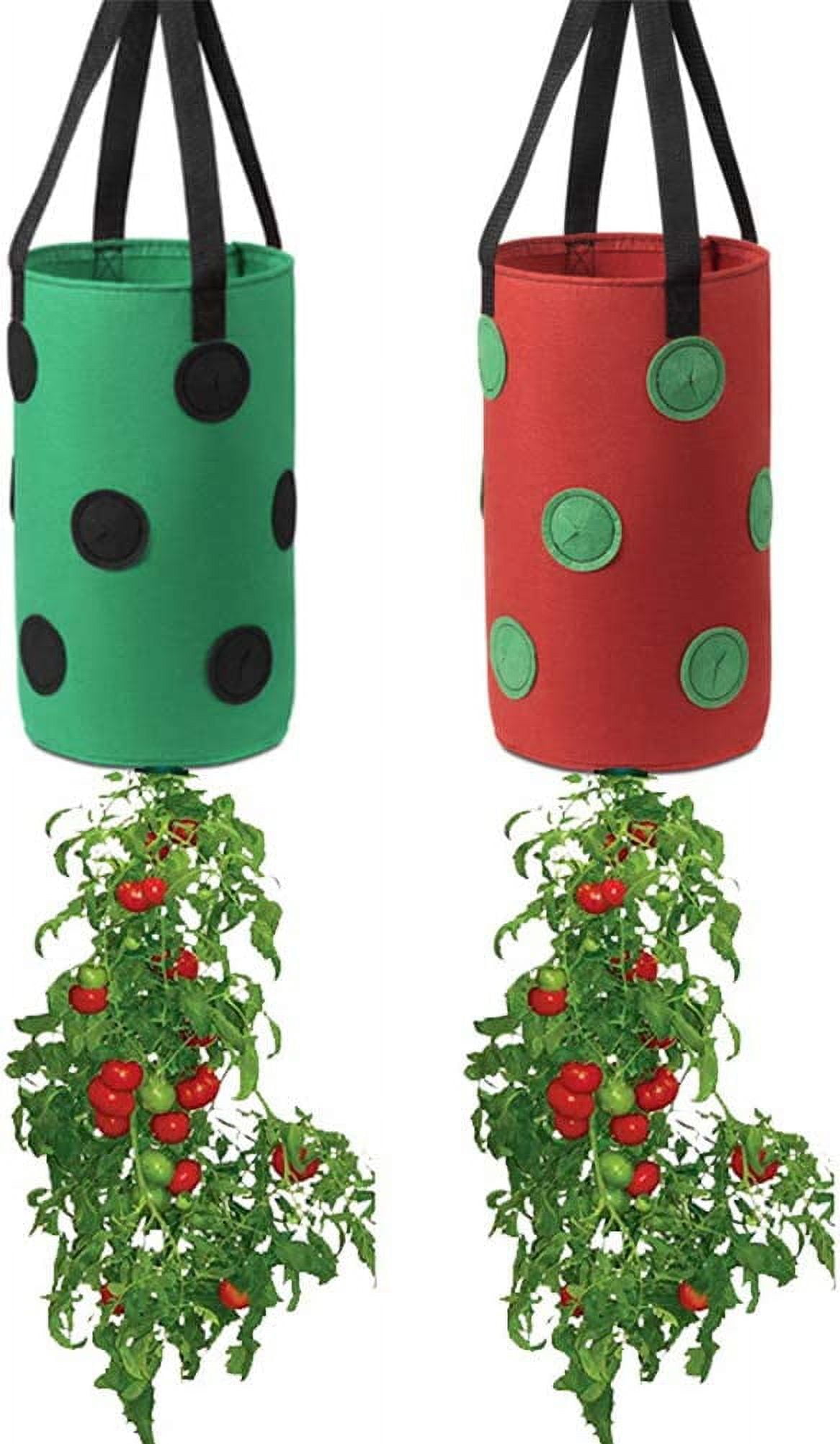 Nvzi 2 Pack Gardens Upside Down Planter3 Gallon Hanging Strawberry