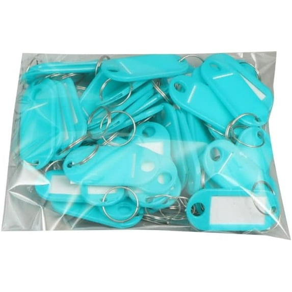 Nvzi 50Pcs Keychain Label Tags Keys Tags with Split and Label Window Luggage Tags Practical Keys Identifiers Keys Labels with Split and Label Window Keys Tags Keychain Label Tags (Light Blue)