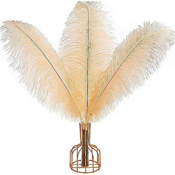 Nvzi Champagne Ostrich Feathers 12pcs Large Natural Bulk 12-14Inch 30cm-35cm for Wedding Party Centerpieces Easter Gatsby and Home Decoration Feathers