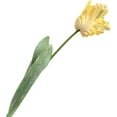 thumbnail image 1 of Nvzi Fake Flower 3Pc Artificial Flower Vivid Decorative 3D Parrot Tulip Real Touch for Home Simulation Flower Artificial Blossom Yellow, 1 of 4