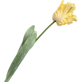Nvzi Fake Flower 3Pc Artificial Flower Vivid Decorative 3D Parrot Tulip Real Touch for Home Simulation Flower Artificial Blossom Yellow