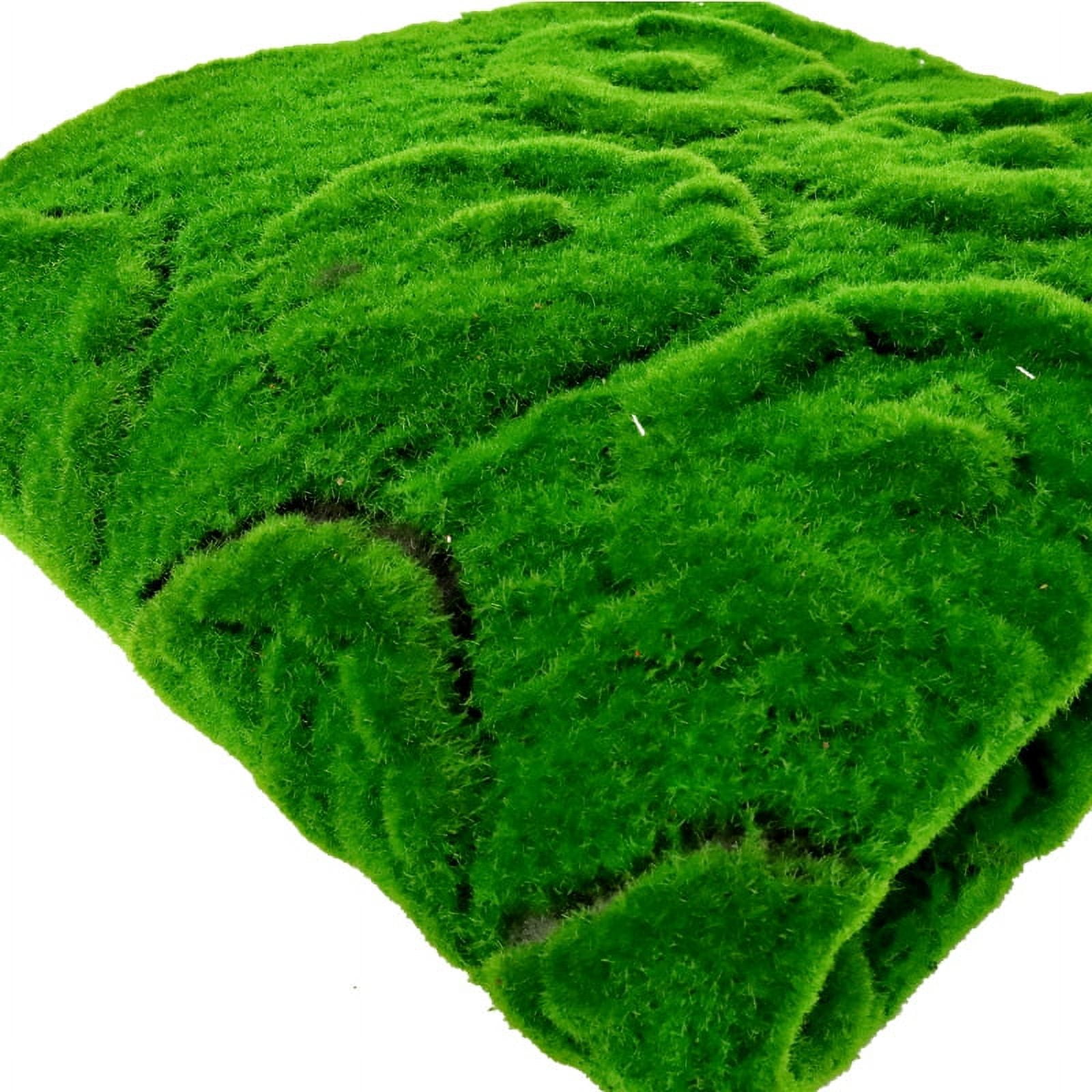 Nvzi Simulation Artificial Moss Grass Turf Mat No Maintenance Wall Green Plants Home Lawn Fake Moss Design Garden Landscape Decor (Color : 05, Size : 100x100cm)