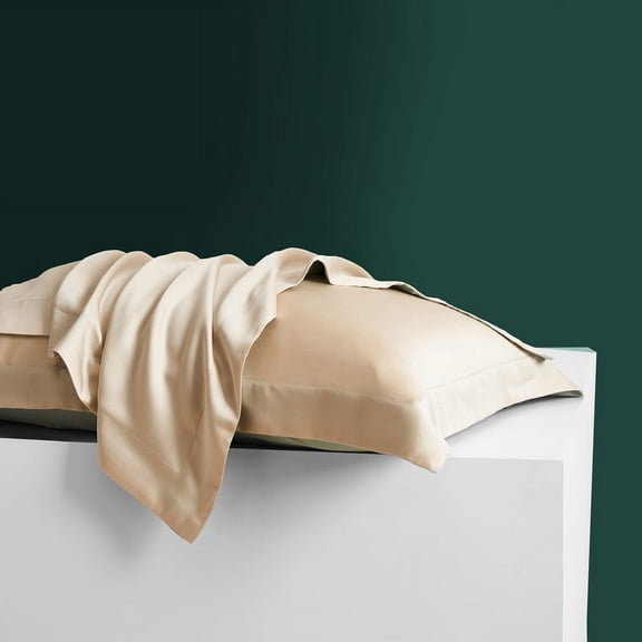 Nvzi-a 2Pcs 60 tencel pillowcases Light luxury life, selected fabric pillowcase, guard your sweet dream 18.9x29.13inch(Light blonde