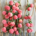 thumbnail image 1 of Nvzi-a Artificial Fruits Pack Fruit kebabs, Fake Fruit Set Foam Fruit for Decor, Decorative Fruit for Home Party Vase Fillers Photography Props (Juicy peach,10pcs), 1 of 5