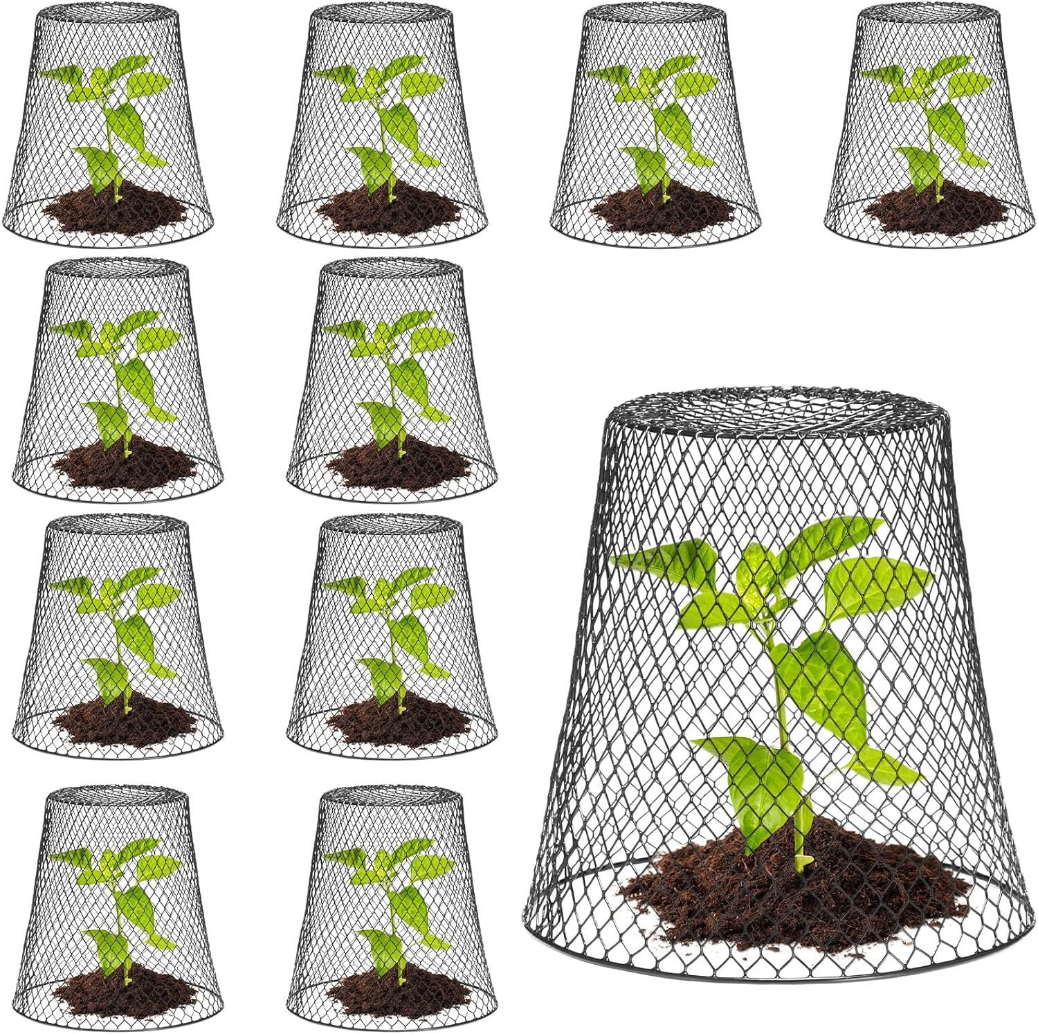 Nvzi -b 10 plant protectors cover metal garden protection cover dome, used for plant wire protection basket, with garden wooden stake plant cage (black)