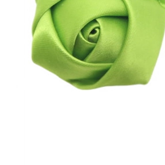 Nvzi -b 20PCS Satin Ribbon Rose,Handmade Fabric Flowers for DIY Sewing Crafts Appliques Weddings Clothing Decor,Green