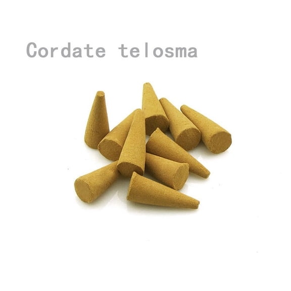 Xiao Hua Sandalwood Fresh Incense Cones 90G Approximately 96 pcsBox Scent Fragrance for Relaxation and Meditation, Home and House DecorCordate telosma