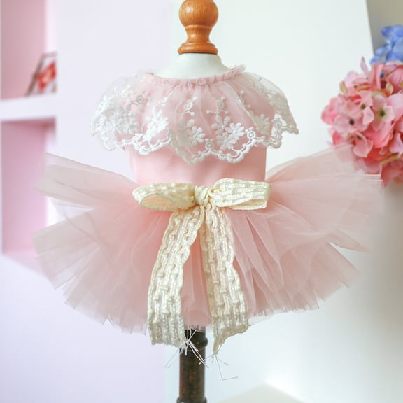 Nvzi-c Sweet Puppy Dog Dress,Cute Princess Cat Dresses Dog Skirt for Small Girl Dogs(A27，XS)