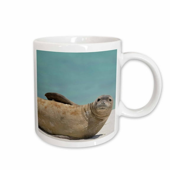 3drose, Nw Hawaiian Islands, Midway Atoll, Monk Seal - Us12 Rja0058 - Rebecca Jackrel, 11oz Mug
