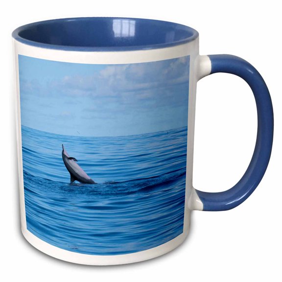 3drose, Nw Hawaiian Islands, Spinner Dolphin - Us12 Rja0030 - Rebecca Jackrel, 11oz Two-tone Blue Mug