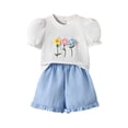 thumbnail image 1 of Nwiuh Toddler Baby Girl Summer Outfit Princess Car Embroidered Ruffled Puff Sleeve Tops Shorts Set 2Pcs Infant Clothes (White, 2-3 Years), 1 of 6