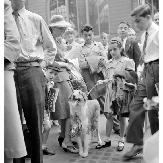 Nyc Penn Station 1942. Npassengers Waiting For Their Train At Penn Station In New York City. Photograph By Marjory