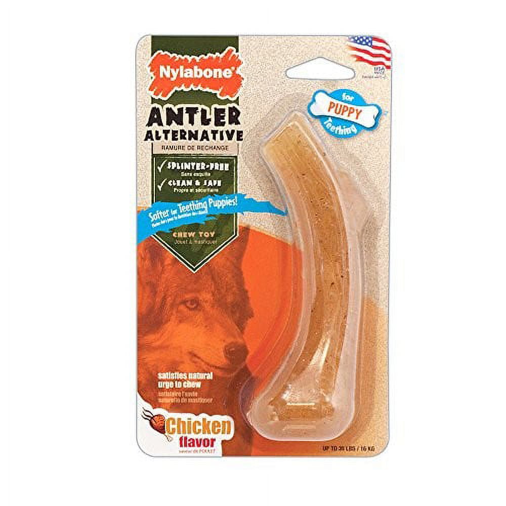 Nylabone antler alternative puppy cheap