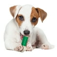 thumbnail image 1 of Nylabone Dura Chew Bacon Flavored Double Action Bone Dog Chew Toy, Regular, 1 of 6