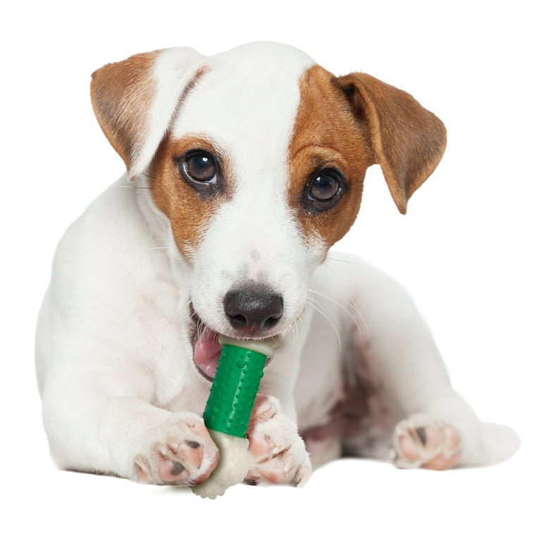 Nylabone DuraChew Double Action Chew Bacon Flavor Dog Toy Nylabone DuraChew Double Action Chew Bacon Flavor Dog Toy
