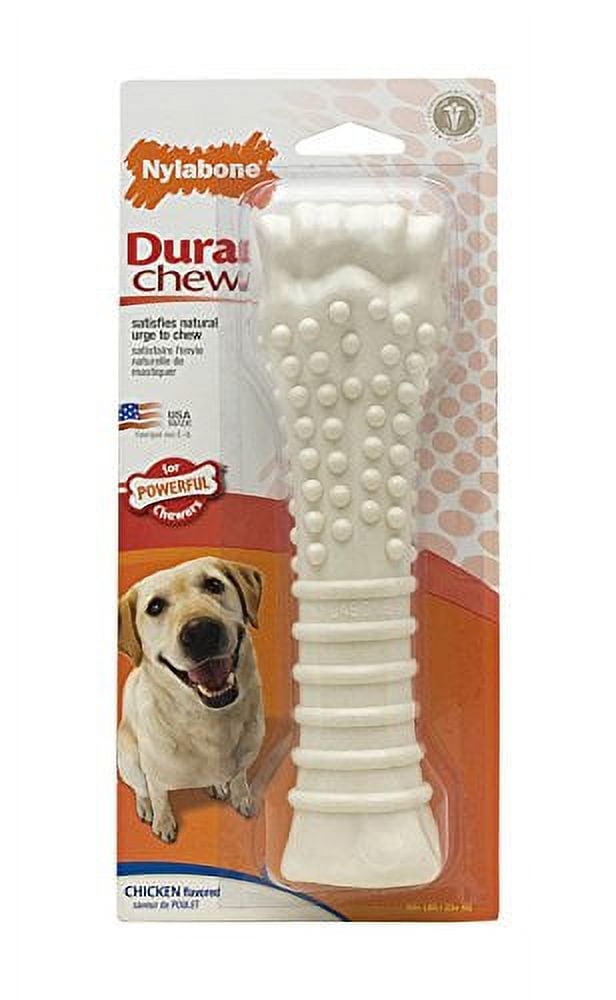 Nylabone Dura Chew Souper Chicken Flavored Bone Dog Chew Toy