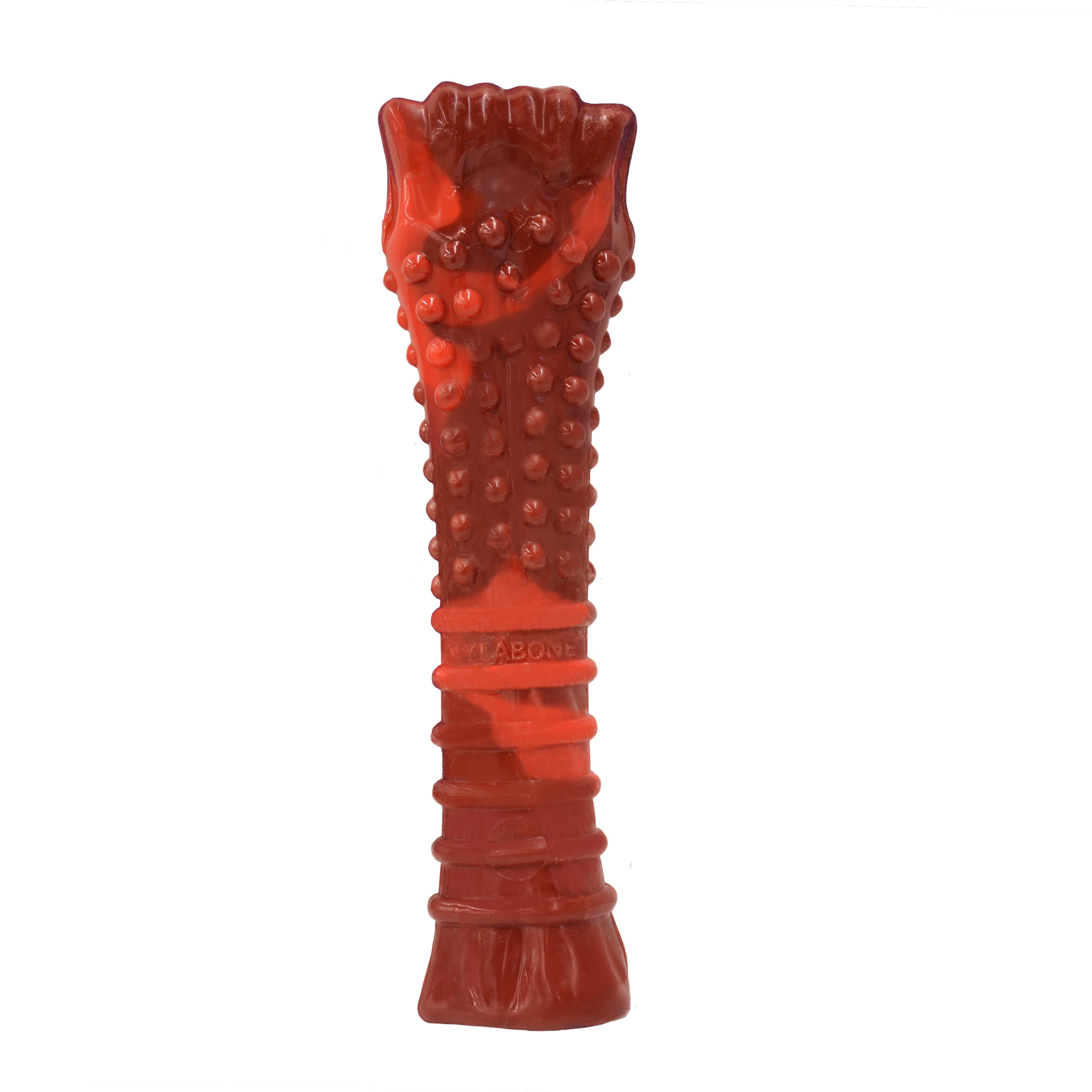 Nylabone souper cheap