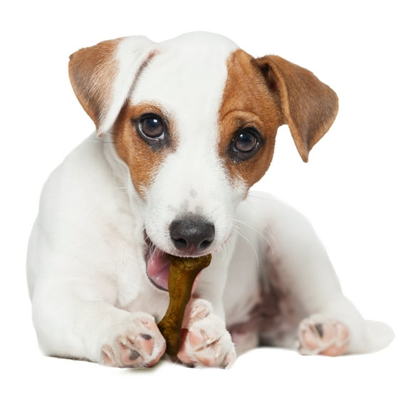 Nylabone Natural Healthy Edibles Wild Bison Chew Treats, Small - 8 Pack