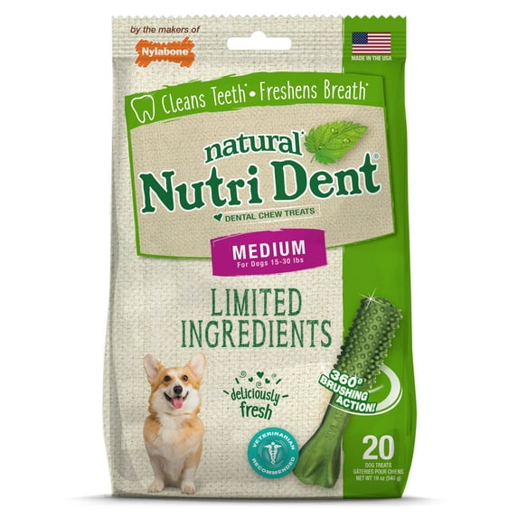 Nylabone Nutri Dent Fresh Breath Flavored Dental Dog Chew Treats Medium (20 Count)