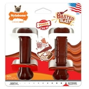 Nylabone Power Chew Basted Blast Dual Flavored Dog Chew Toys X-Small/Petite - Up to 15 Ibs. (2 Count)