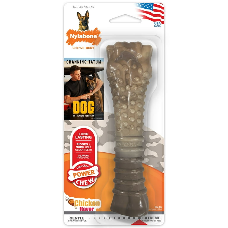 Nylabone souper hot sale size