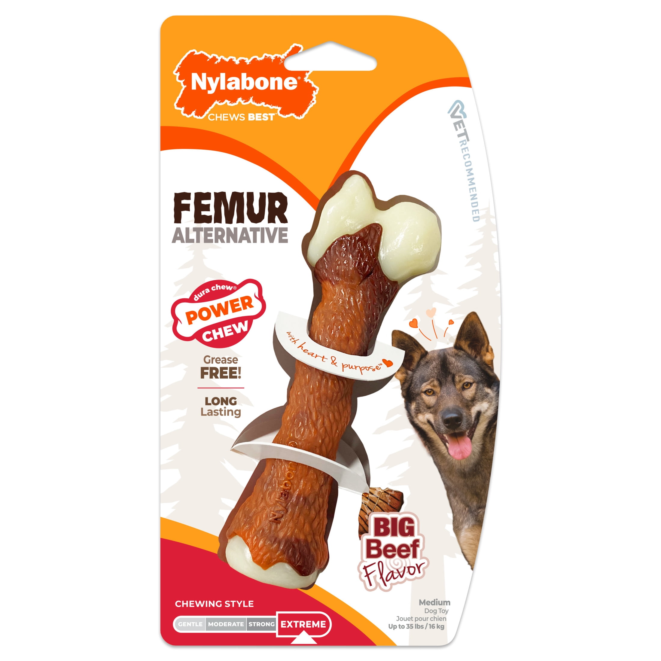 Nylabone Power Chew Femur Bone Alternative Dog Chew Toy, Medium