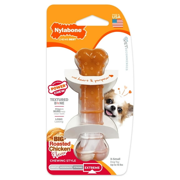 Nylabone Power Chew Textured Bone Dog Chew Toy 70th Birthday Orange Swirl Chicken X-Small (1 Count)