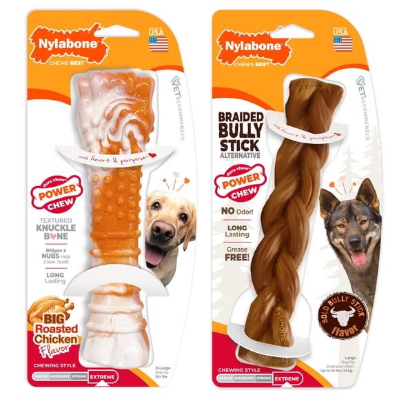 Nylabone Power Chew Braided Bully Stick Alternative Dog Toy, Dog Chew Toy, Chicken & Beef Flavor, Large, 2 Pack