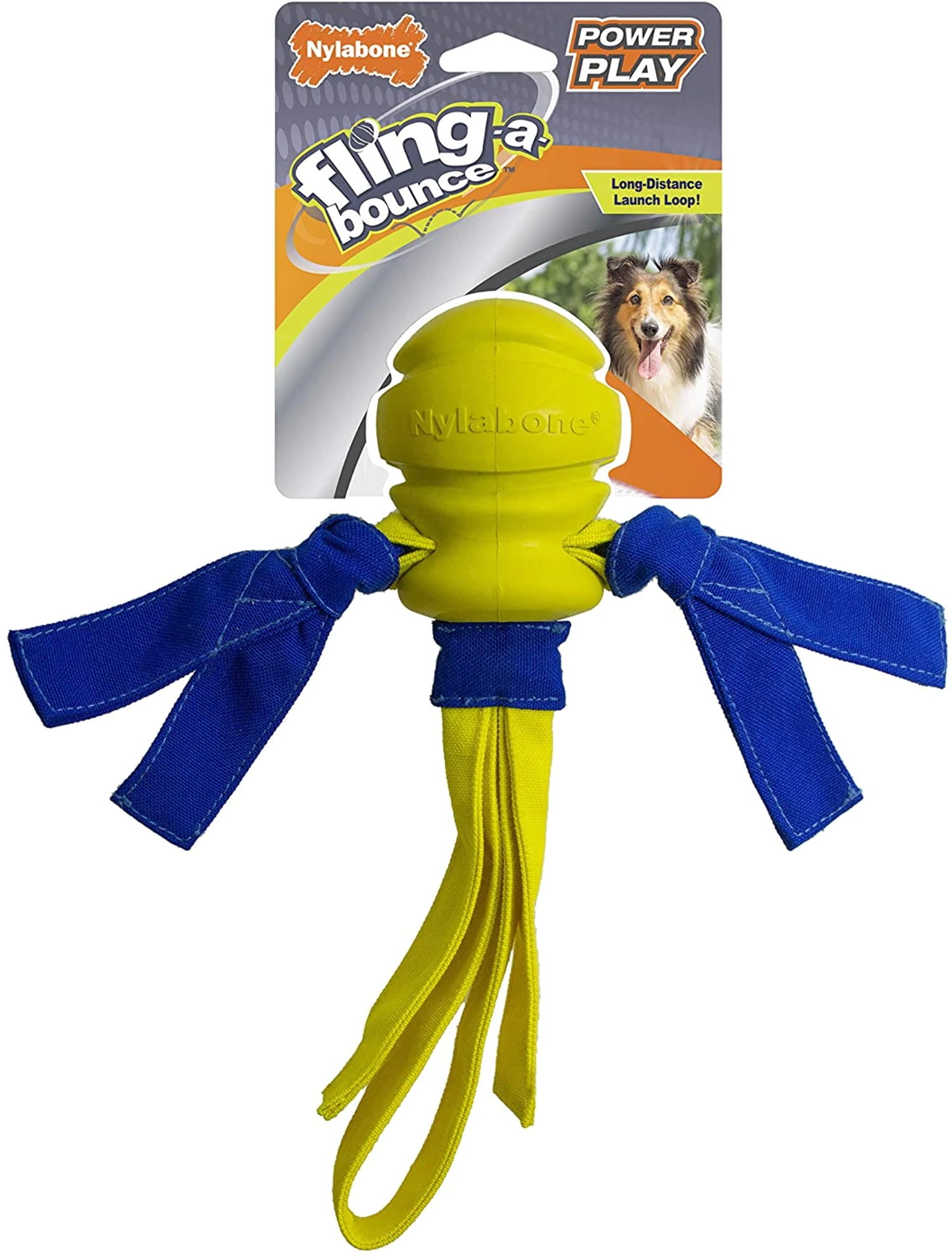 Dog clearance fetch toys