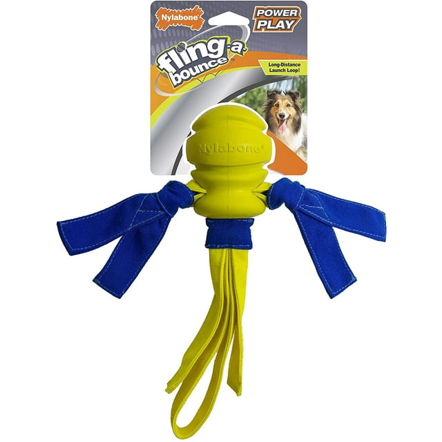 Nylabone Power Play Dog Fetch Toys Fling-a-Bounce Medium - 10 in.