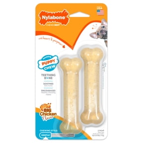 Nylabone Puppy Chew Dog Toy & Dog Treat Combo Pack, Chicken Flavor, X-Small, 1 Count