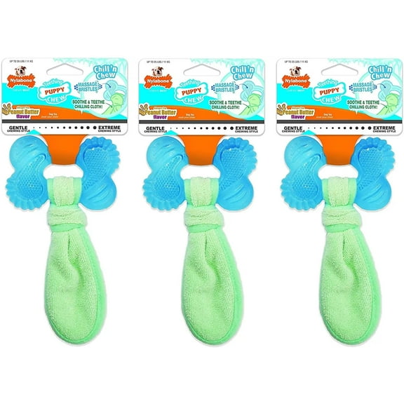 Nylabone Puppy Chew Freezer Dog Bone Toy, Small/Regular