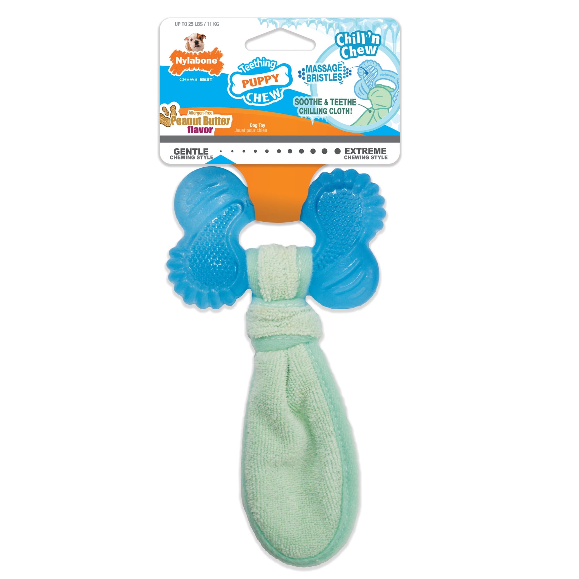 Nylabone Small Blue and Green Peanut Butter Freezer Bone Toy