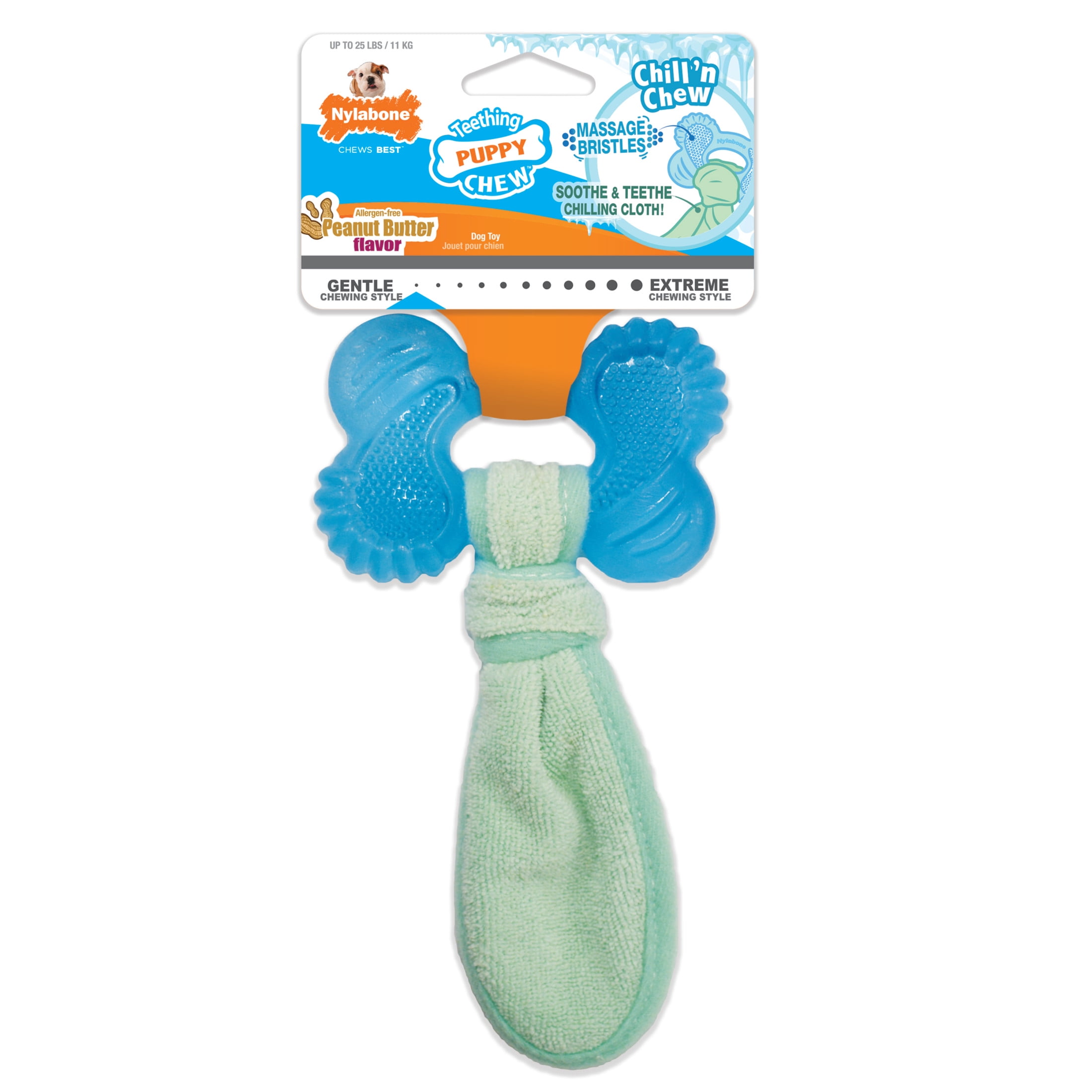 Nylabone Small Blue and Green Peanut Butter Freezer Bone Toy