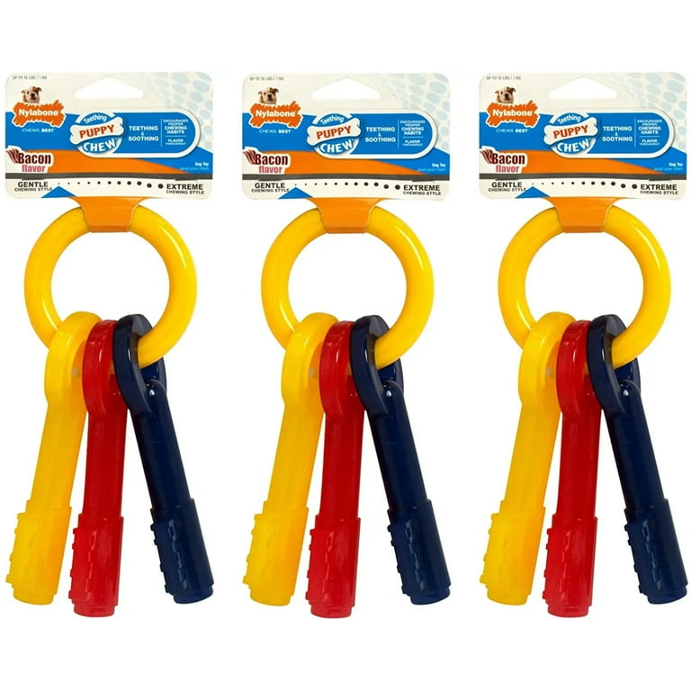 Nylabone top puppy keys